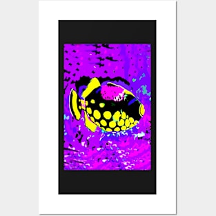 Clown Trigger Fish Posters and Art